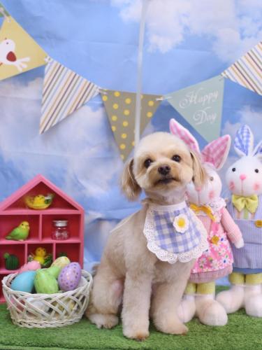 20240302ちゃいろくん